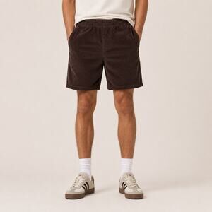 NWT The North Face Men's Utility Corduroy Easy Short Coal Brown Size Large
